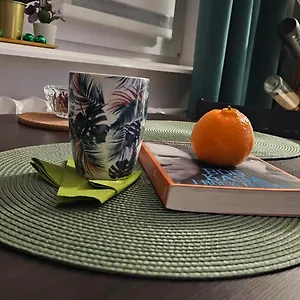 Zielona Przystań Apartament